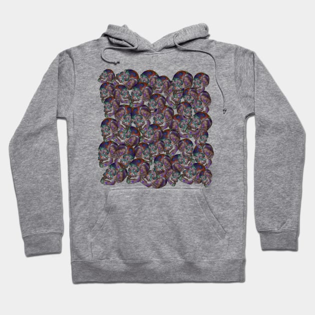 Aesthetic Rainbow Crystal Skull ∆∆∆∆ Graphic Design/Illustration Hoodie by DankFutura